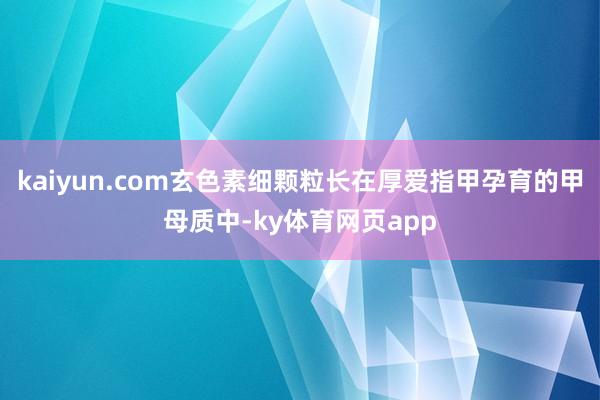 kaiyun.com玄色素细颗粒长在厚爱指甲孕育的甲母质中-ky体育网页app