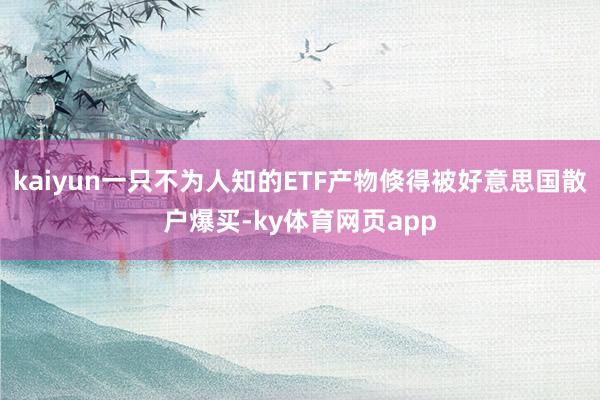 kaiyun一只不为人知的ETF产物倏得被好意思国散户爆买-ky体育网页app