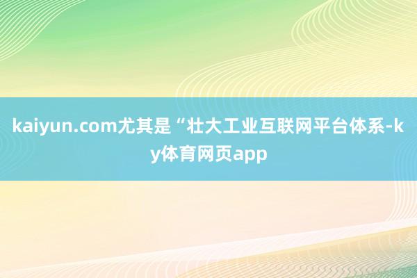 kaiyun.com尤其是“壮大工业互联网平台体系-ky体育网页app