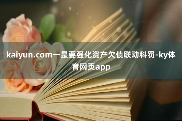 kaiyun.com一是要强化资产欠债联动科罚-ky体育网页app