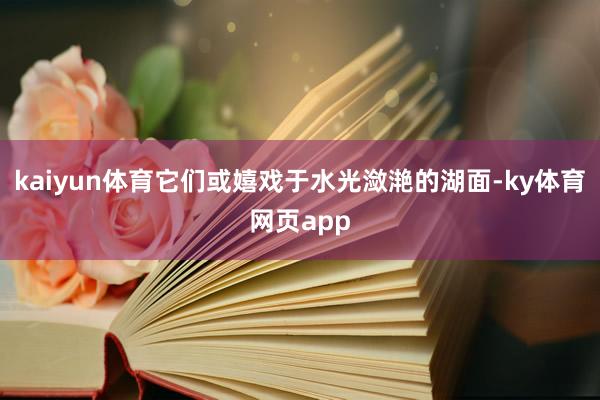 kaiyun体育它们或嬉戏于水光潋滟的湖面-ky体育网页app