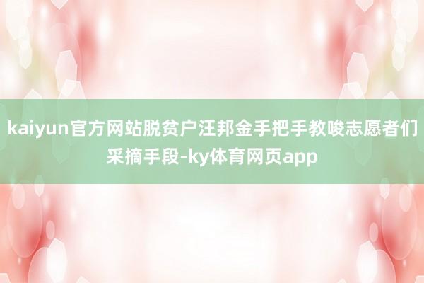kaiyun官方网站脱贫户汪邦金手把手教唆志愿者们采摘手段-ky体育网页app