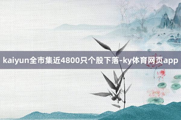 kaiyun全市集近4800只个股下落-ky体育网页app