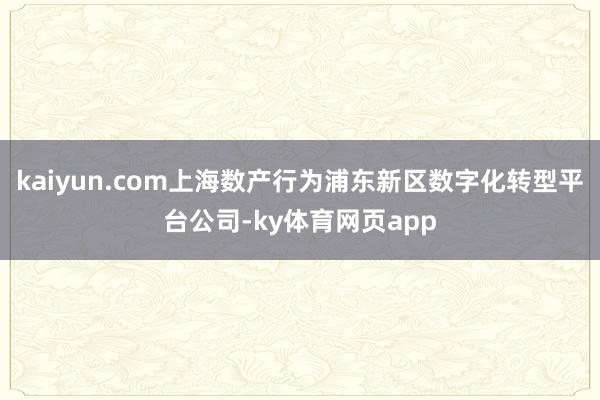 kaiyun.com上海数产行为浦东新区数字化转型平台公司-ky体育网页app